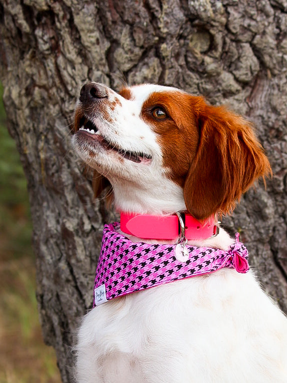 Bandana à nouer " Pawhound"