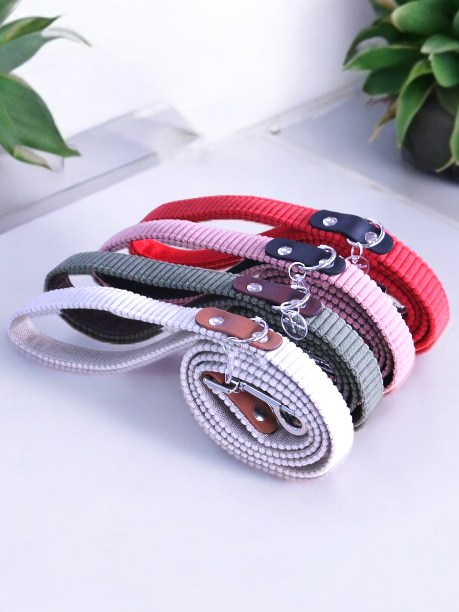 Laisse velours côtelé