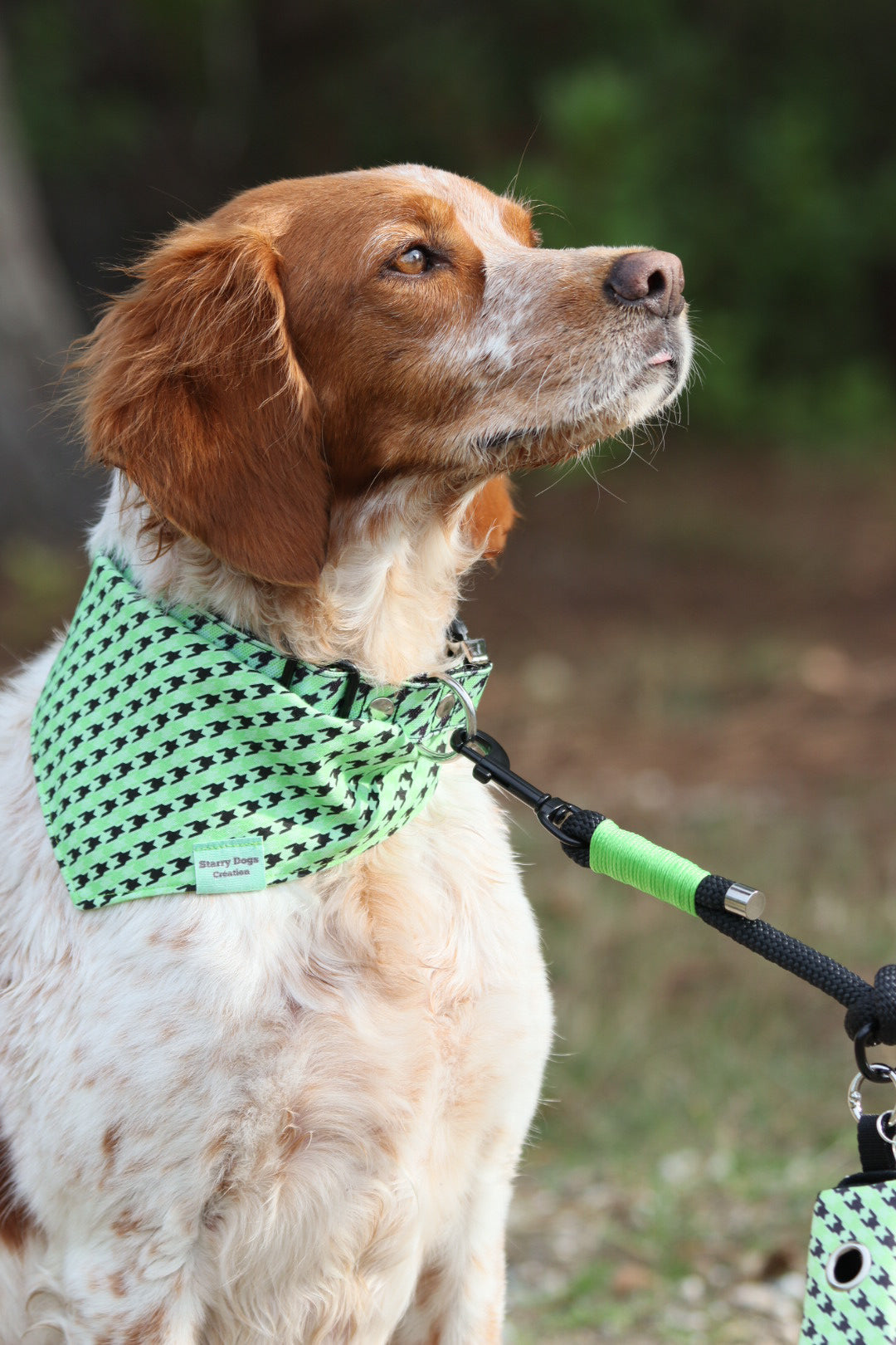 Bandana à nouer " Pawhound"