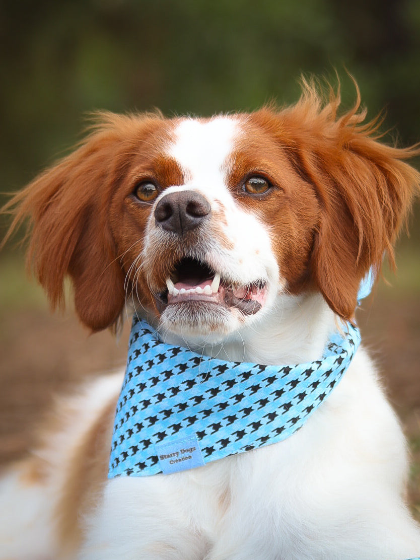 Bandana à nouer " Pawhound"