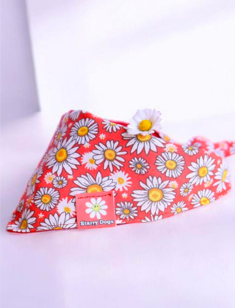 Bandana à nouer " Bellis"