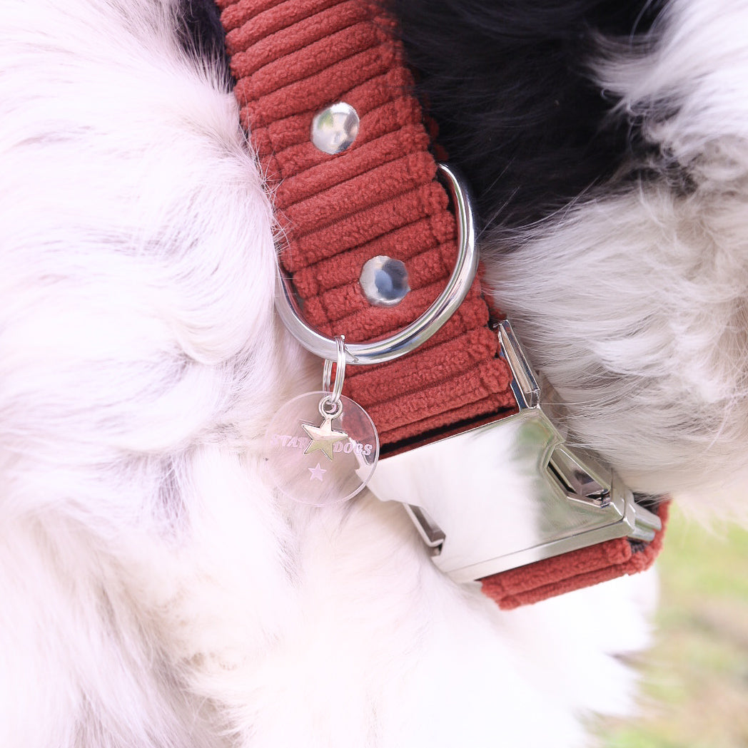 Collier réglable/Velours côtelé/Cosy